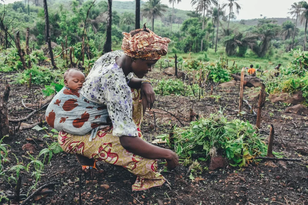 Woman with baby strapped to her back working agriculture in a country on the African Continent.